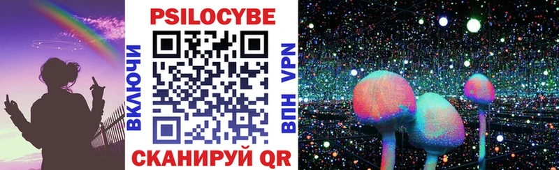 где можно купить   Куровское  kraken сайт  Галлюциногенные грибы мицелий 